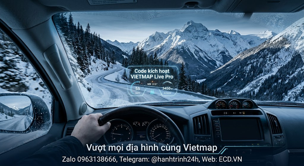 vietmap pro android box