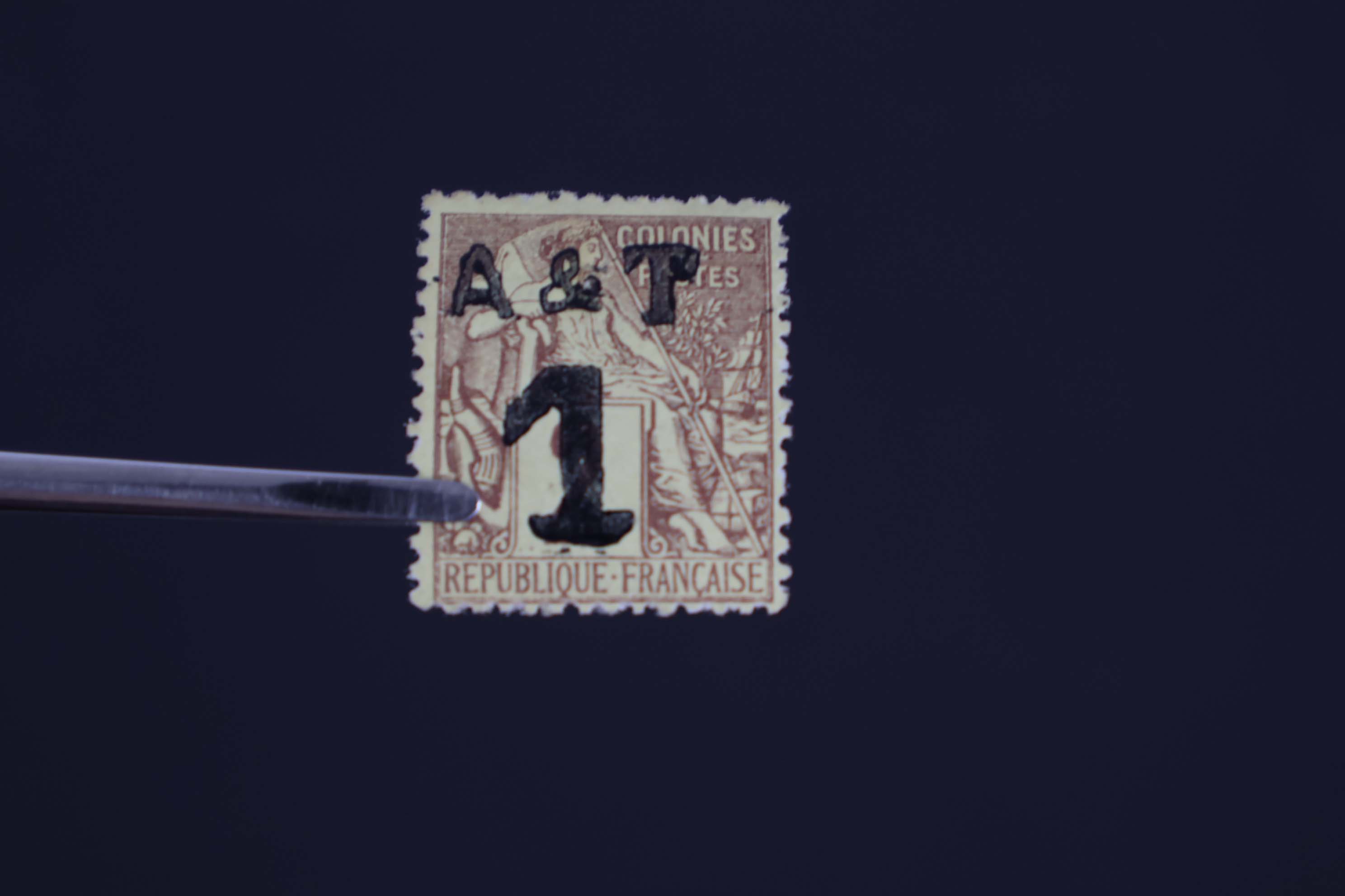IMG-2820