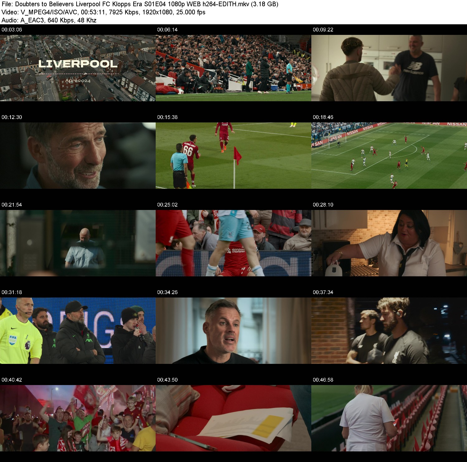 [Image: ipqigt60m8p4.jpg]