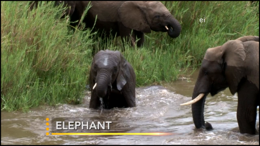 [Image: dj07eg4o0flx.png]