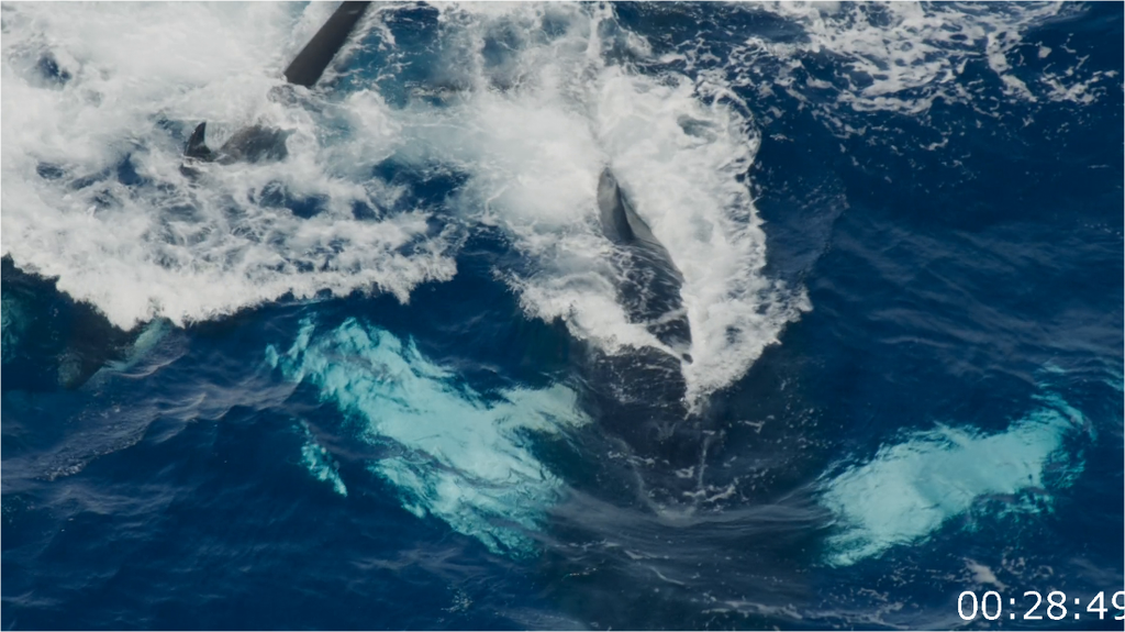 [Image: 5mbiui99m2vj.png]