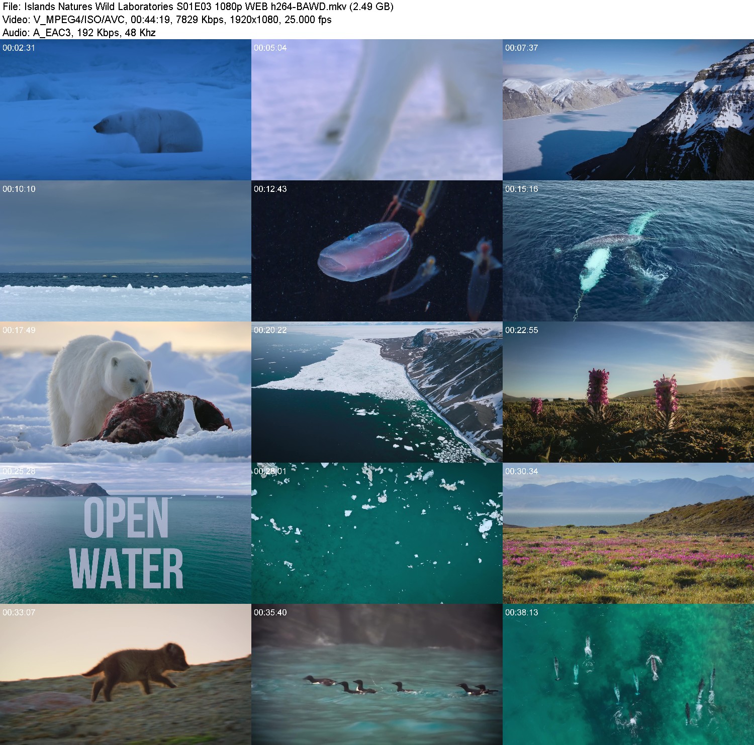 [Image: f30w5da8znca.jpg]