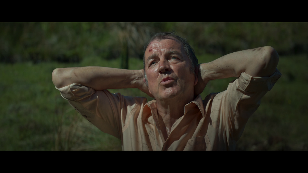 [Image: a1cjc3jb49lb.png]