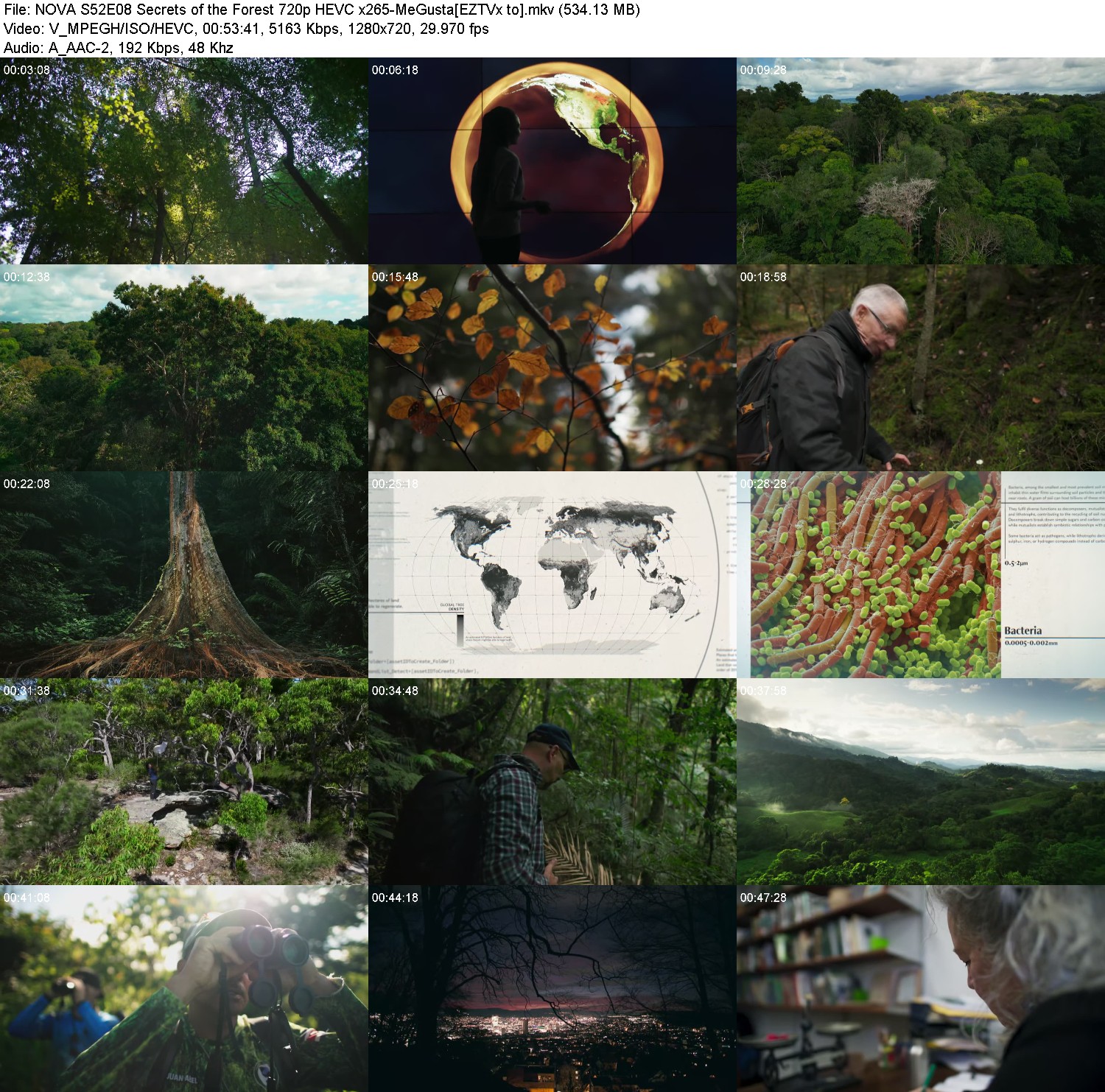 [Image: eo3w2zpa1yx5.jpg]