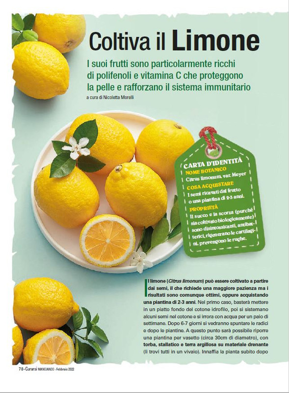 Cur Mang Feb 2022 (11)