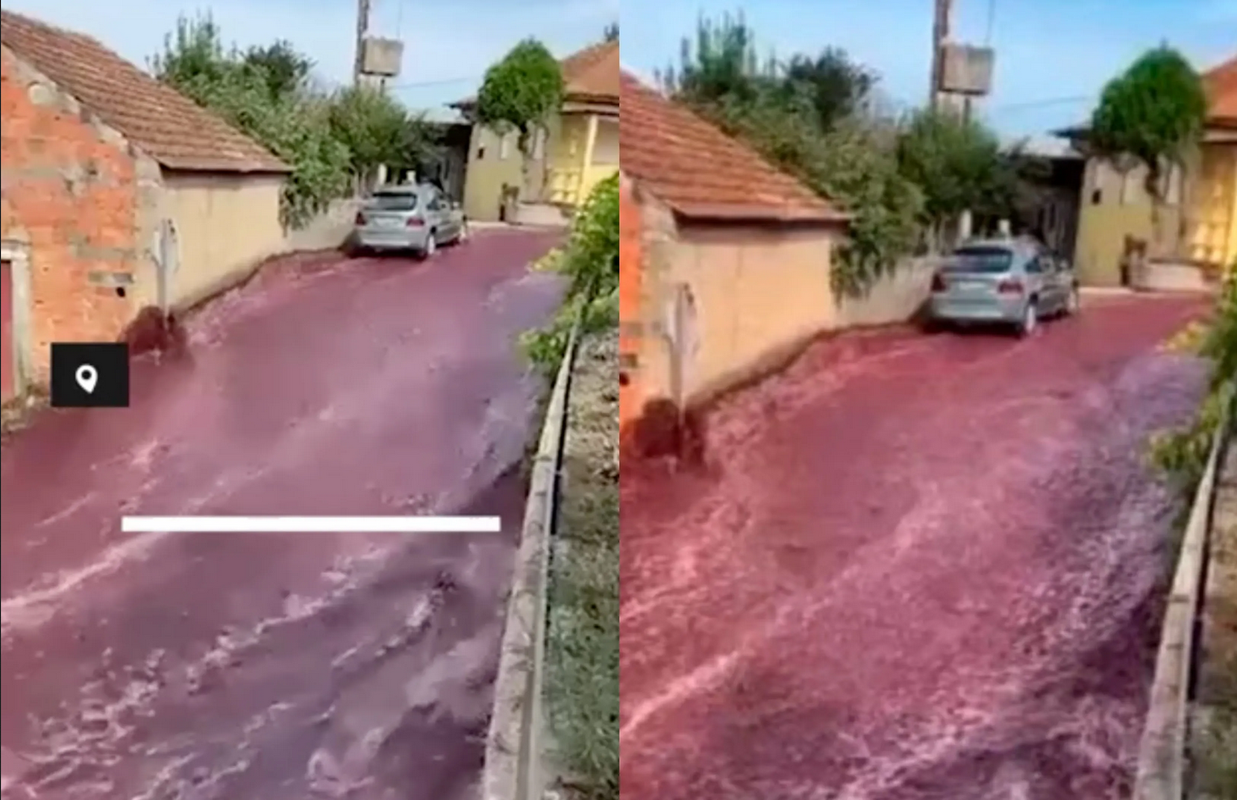 Dos millones de litros de vino tinto inundaron Portugal (video)