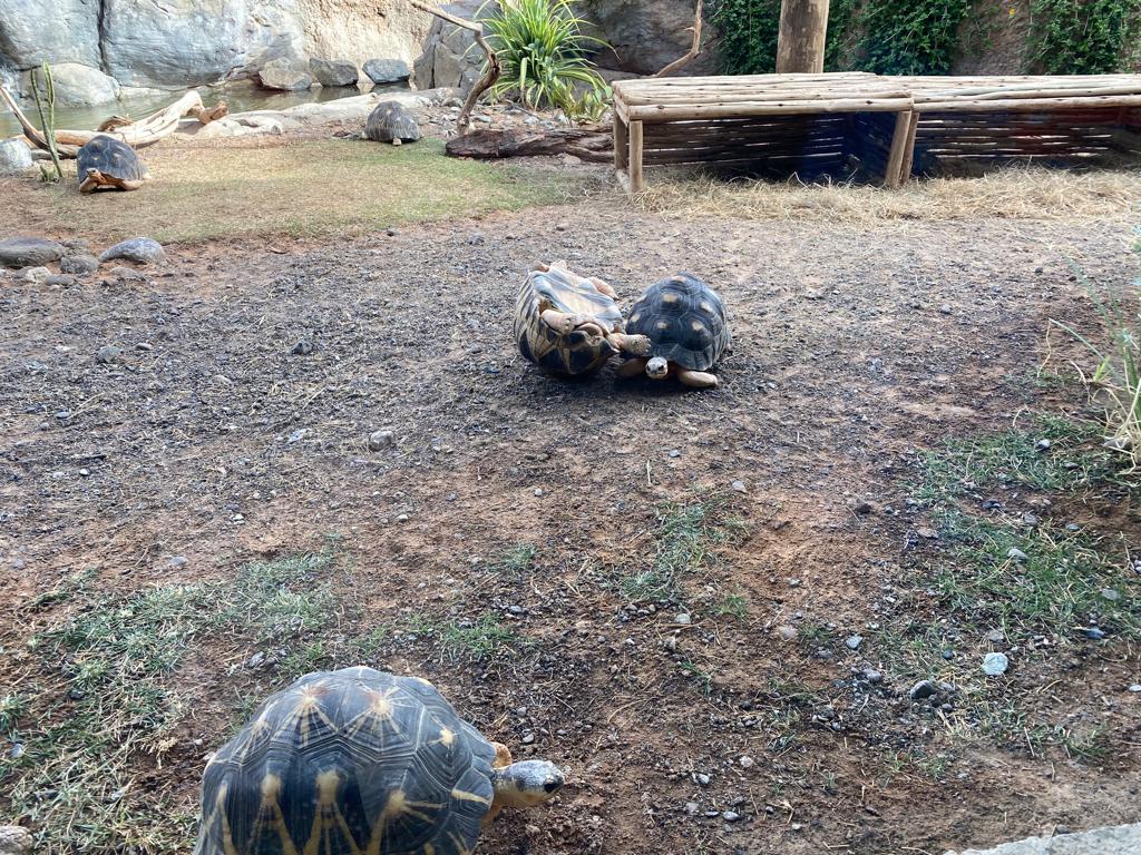 ���� ���� ������ �� ���� ������