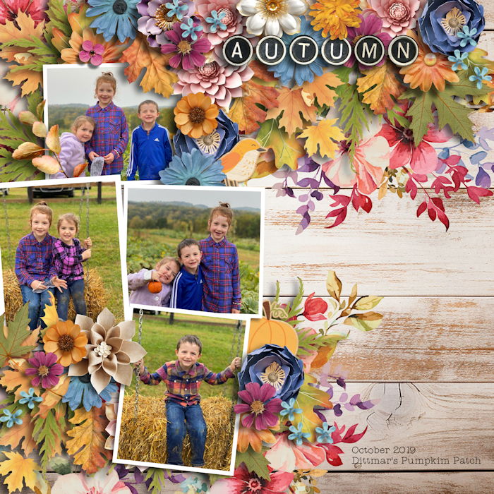 Autumn-Prelude-KCB.jpg