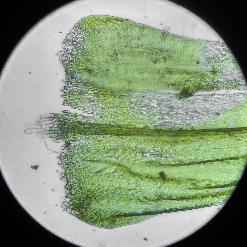 IMG 20250614 122624 HDR