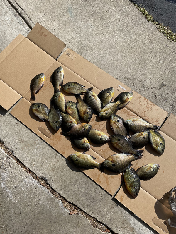 681744F1-EA4E-46E5-9693-9AD6C0E90403