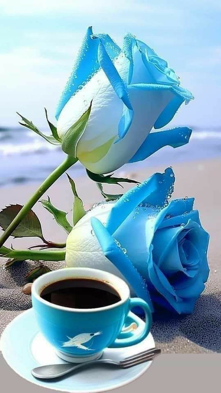 eae68d9e1231960e66cbfe754bcdb9f9