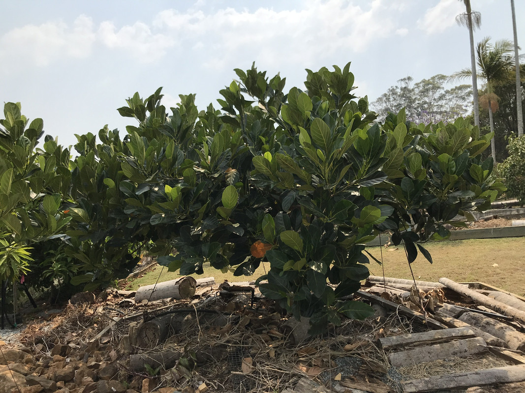 DDE5DE3D-F02D-41E3-9818-3327BFB306F3