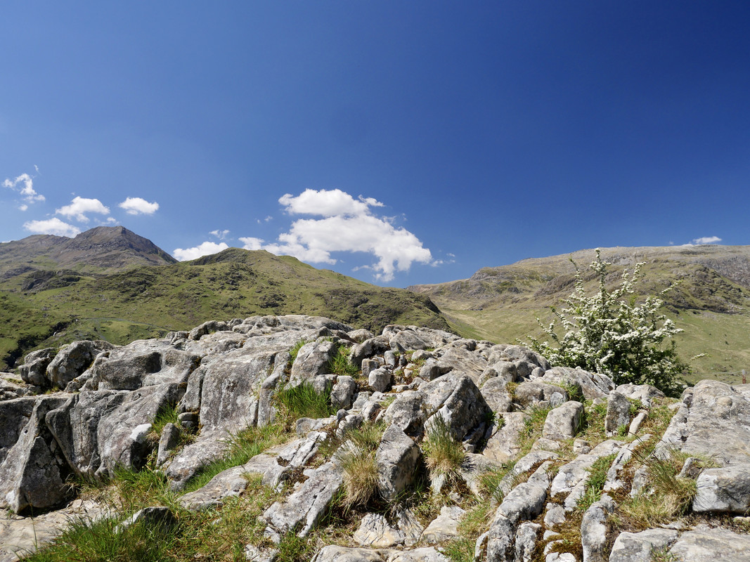 F6BFB88F-AF59-49C4-837C-28503953C7B6