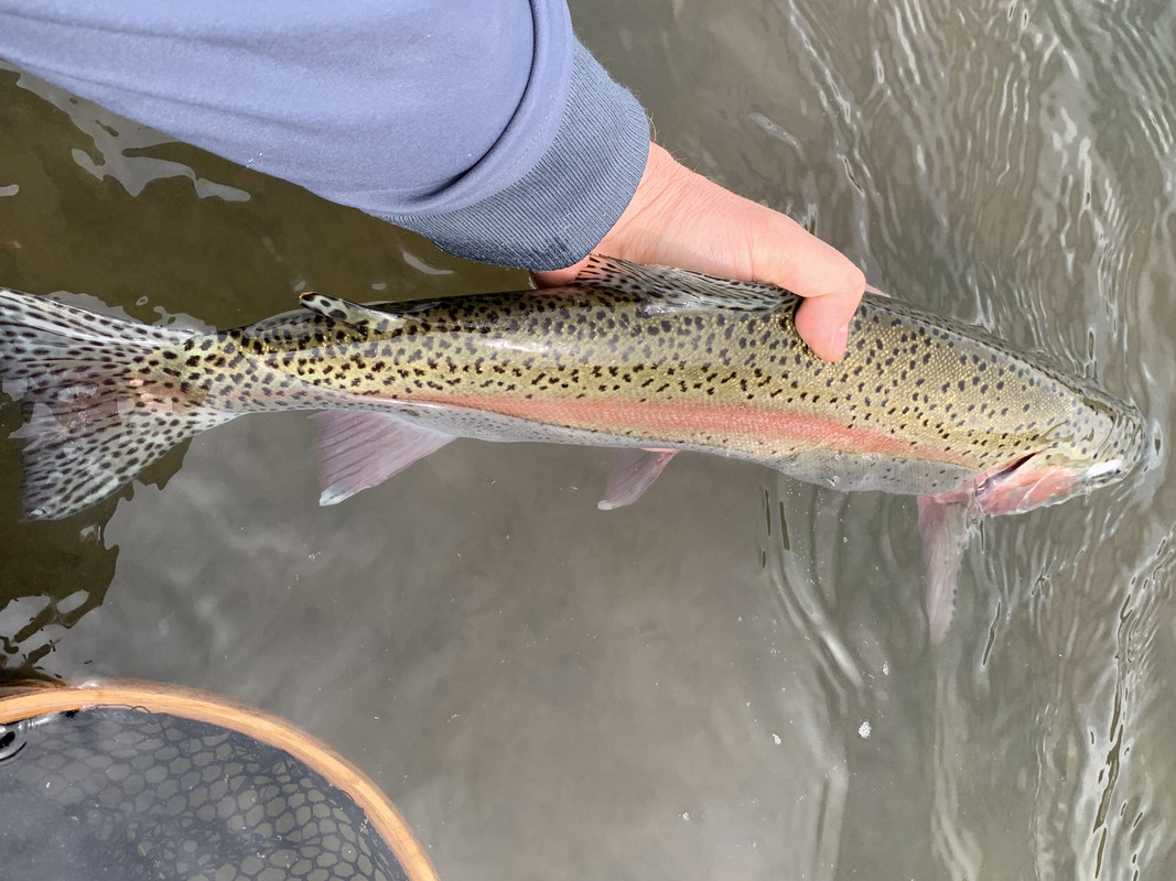 4B16CEAA-8DBE-4CE6-AD69-5D4A60A12EB3