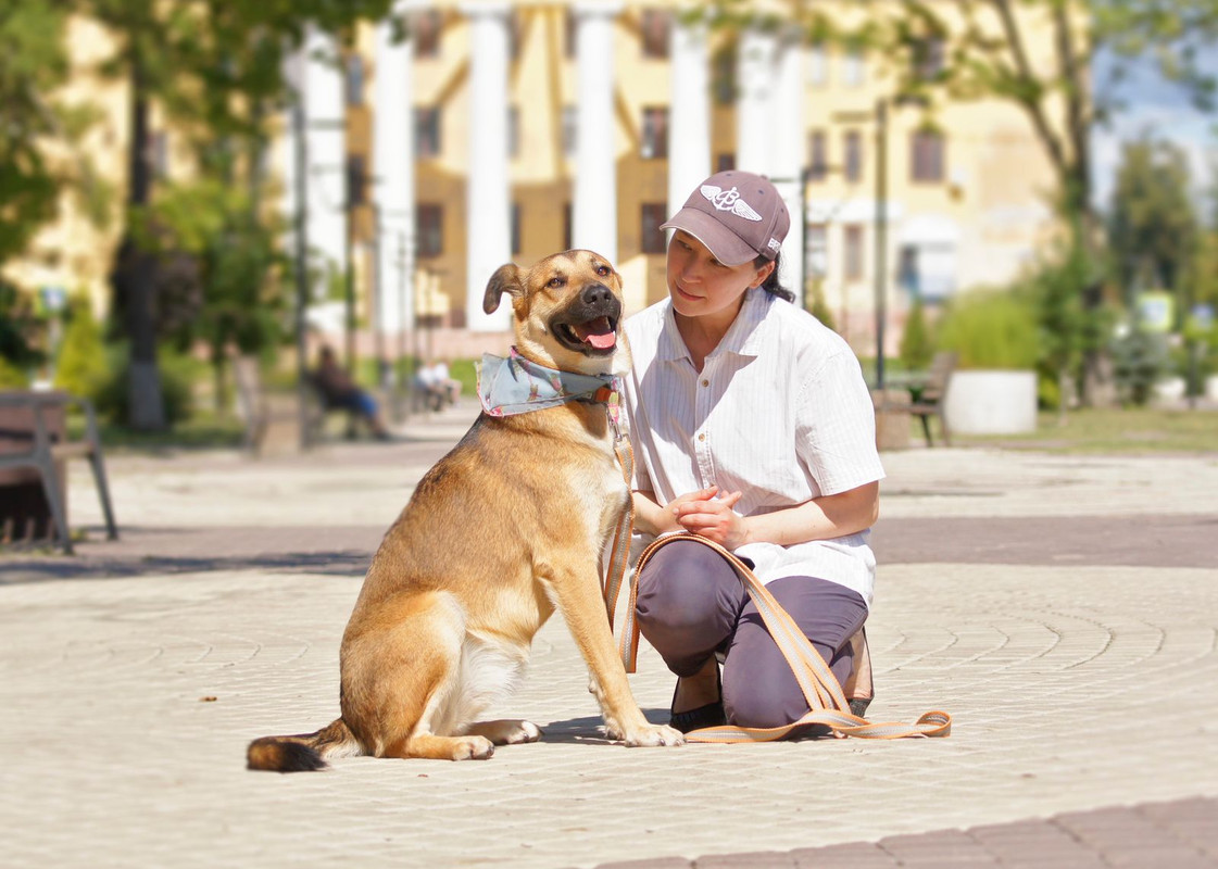 Изображение WhatsApp 2024-09-04 в 10.13.29_9ab77f3c