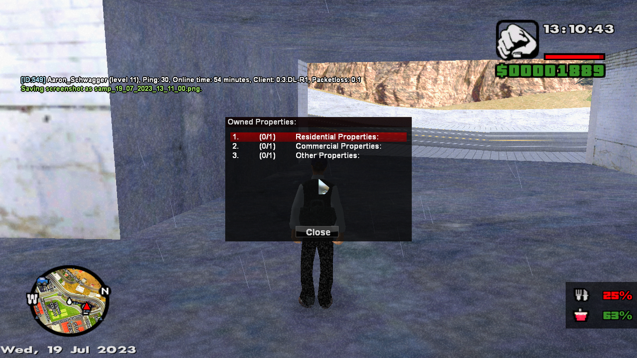 samp-19-07-2023-13-11-03.png