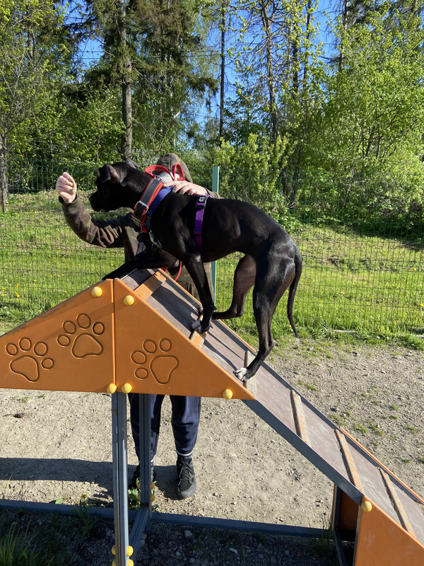 7FFDC9B8-79E9-40B9-AC8B-A75805ABC803