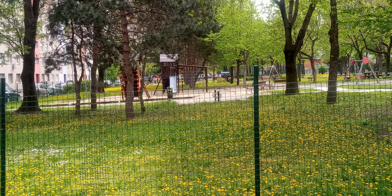Kép