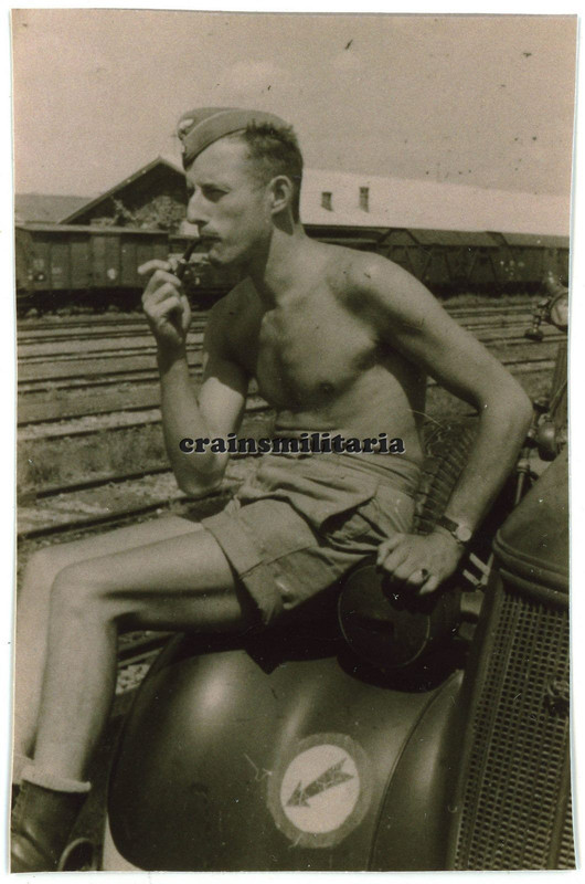 Foto FJR1 Fallschirmjäger Offizier auf Pkw m. Wappen Jugoslawien 1941 Zug