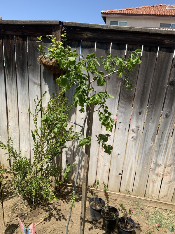 4EEEB08A-359E-454A-8768-86B54353EAD4