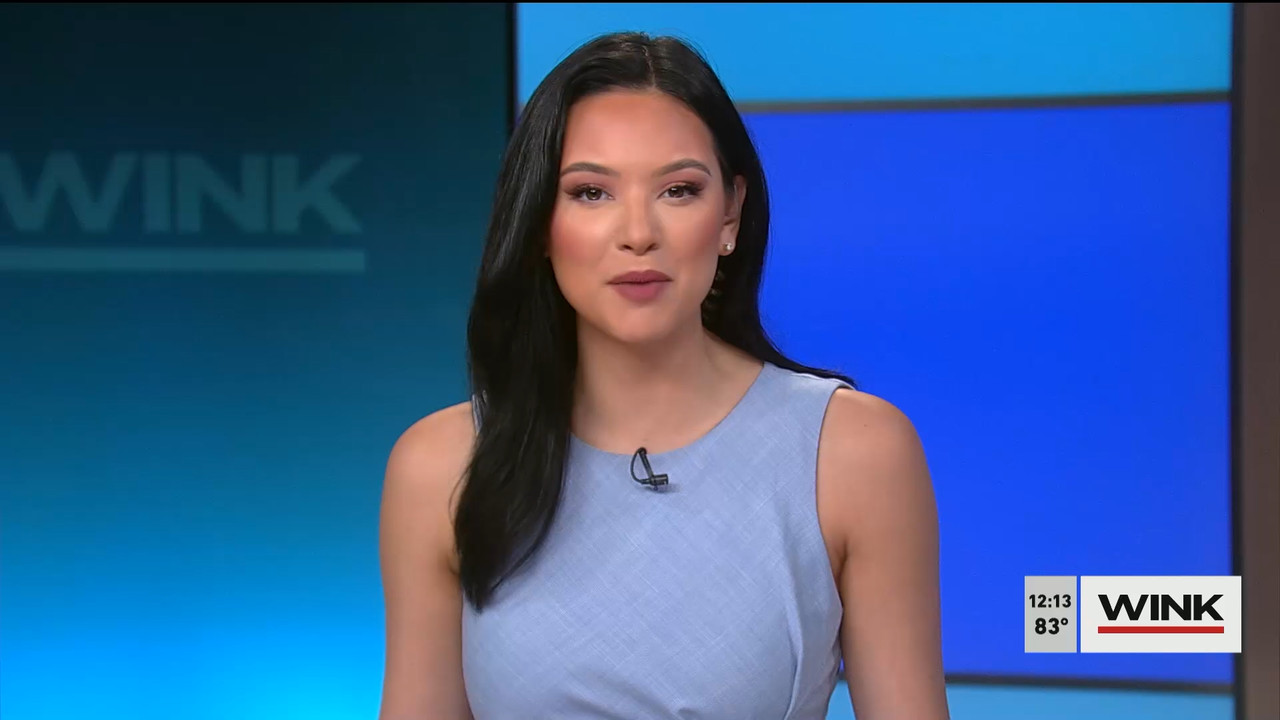 The WINK Noon News 2022_04_13_17_00_00.ts_snapshot_20.00.078
