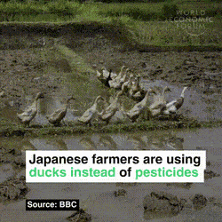 GIFs-20