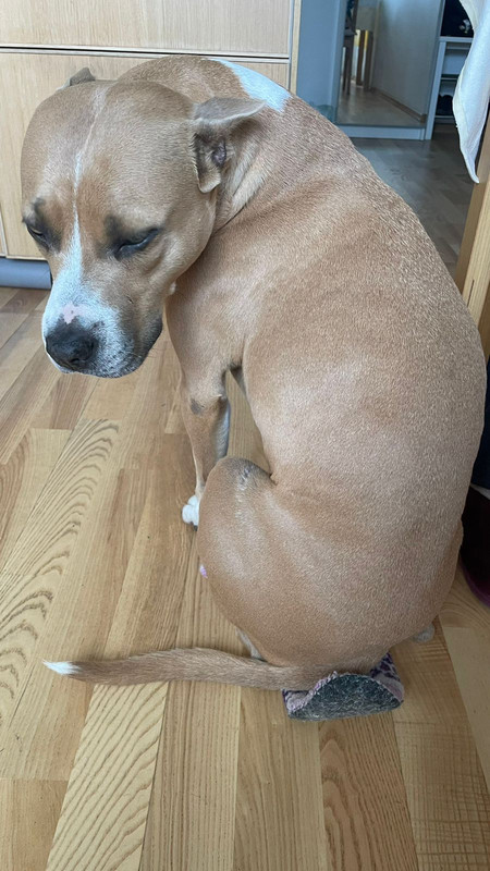 A60DA56C-FD66-4B03-9DC0-68B6F1C87D5A