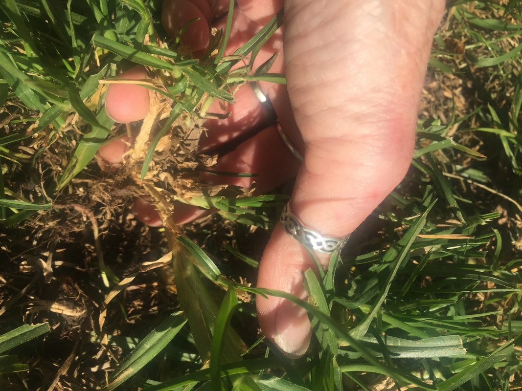 C7BF7675-E6DF-4BC4-AA20-3F4CC9753E3A