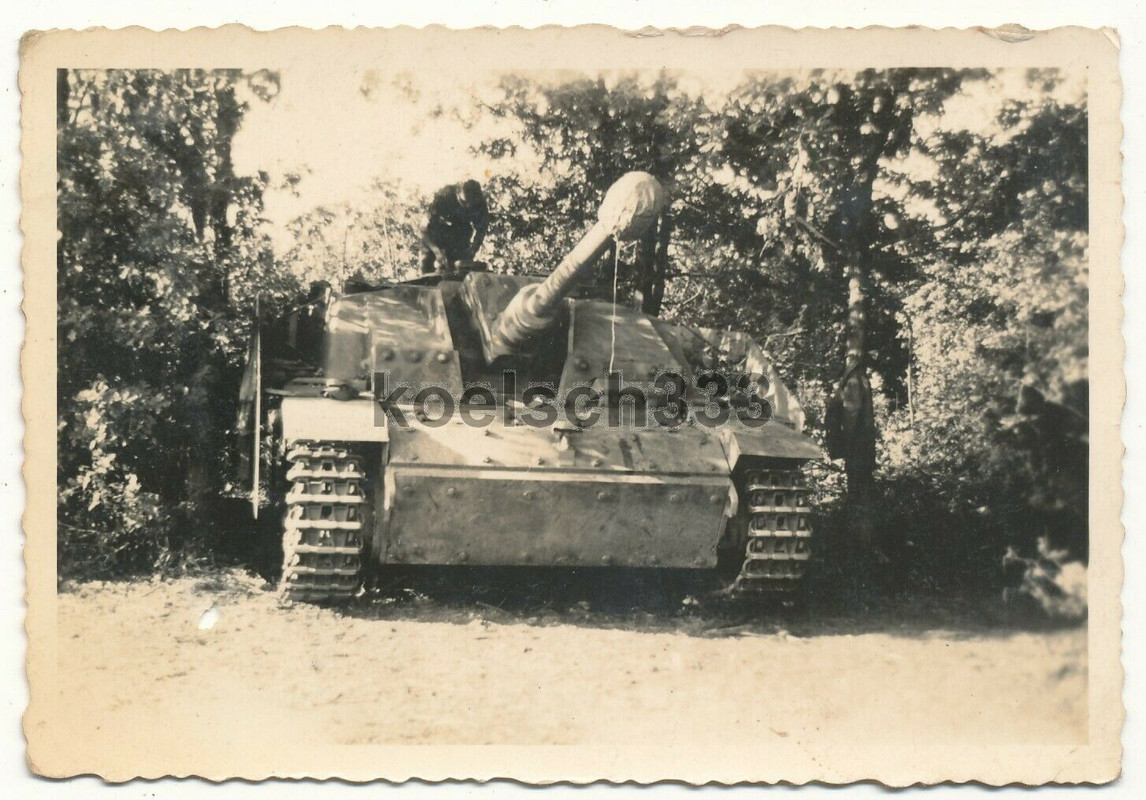 Foto Sturmgeschütz mit Seitenschürzen in Stellung Ostfront Brasc
