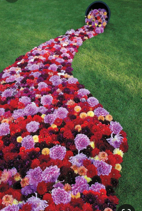 Screenshot_20240508_225850_Pinterest