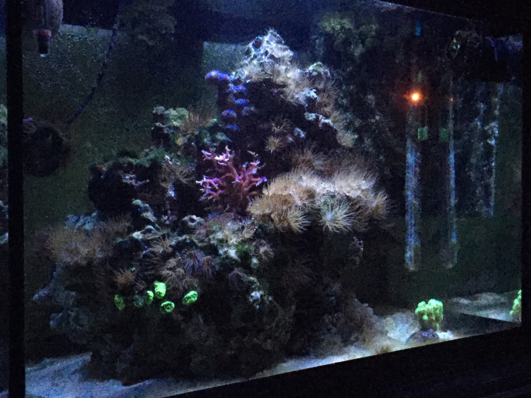 2F8DDD89-2F97-4734-ABE8-768D6CE70BAA