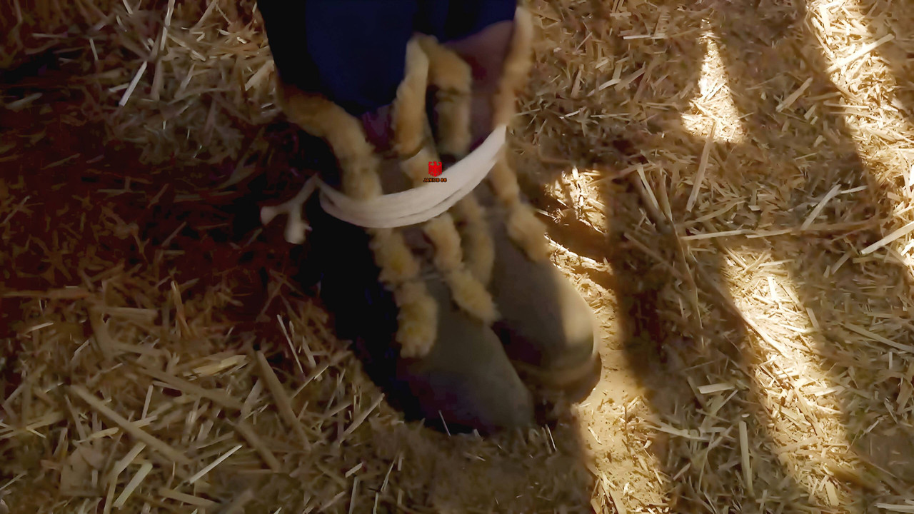 Agnes-Nicole Winter - The Gold & The Beautiful 2009