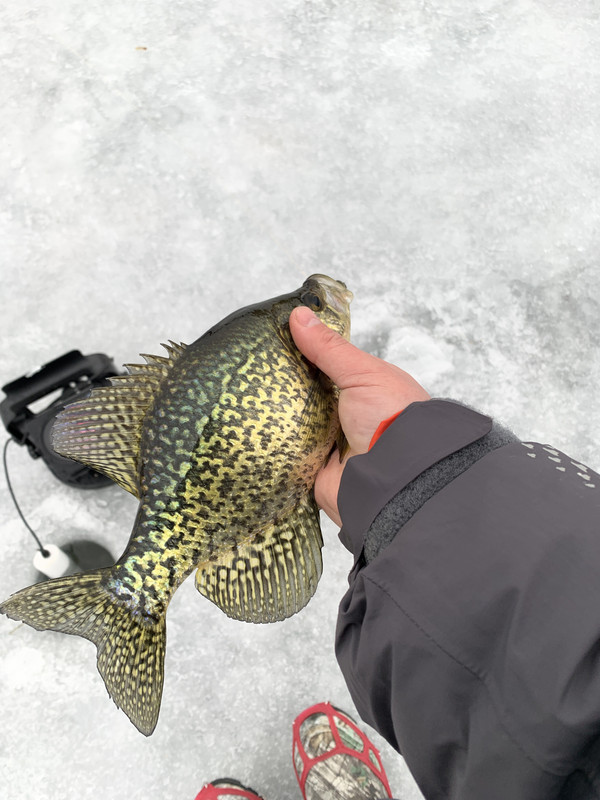 427200D8-2058-418F-9A16-FB7699EF3AB2