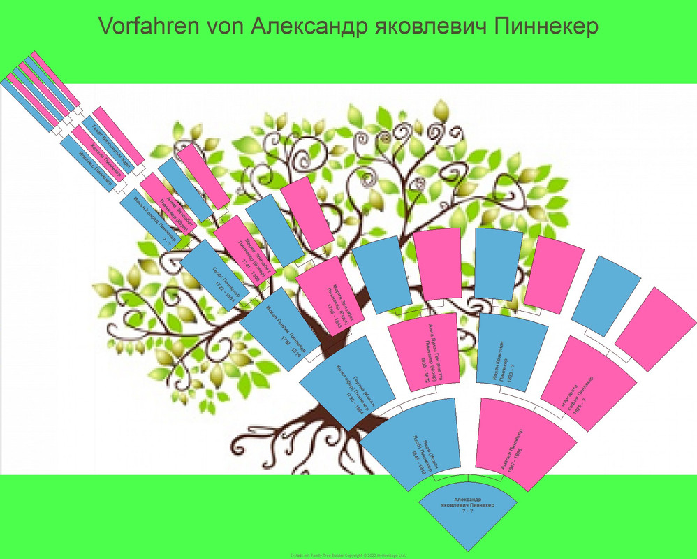 Pinnecker__Alexander
