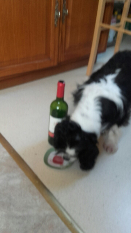 9B958E5C-C86D-4A04-8832-3D68CD061BC7