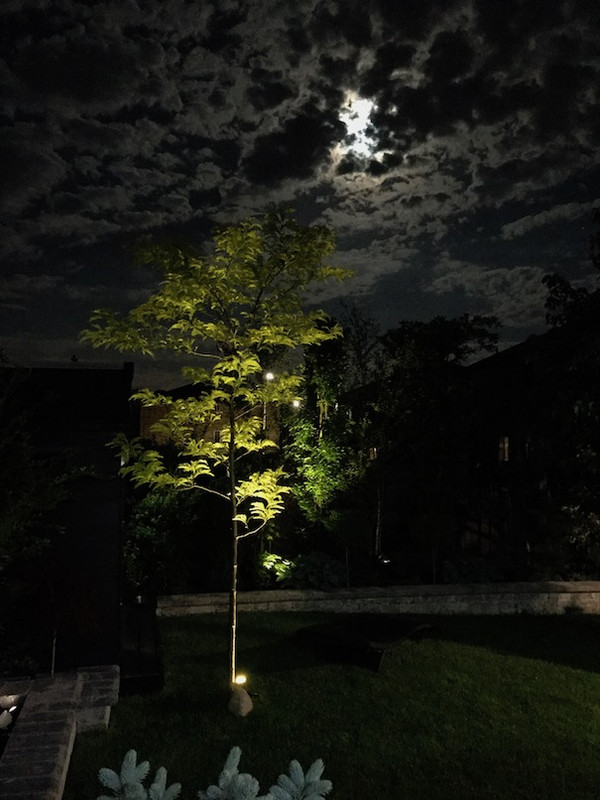 IMG_3697_zpsjz6fk9dj.jpg~original