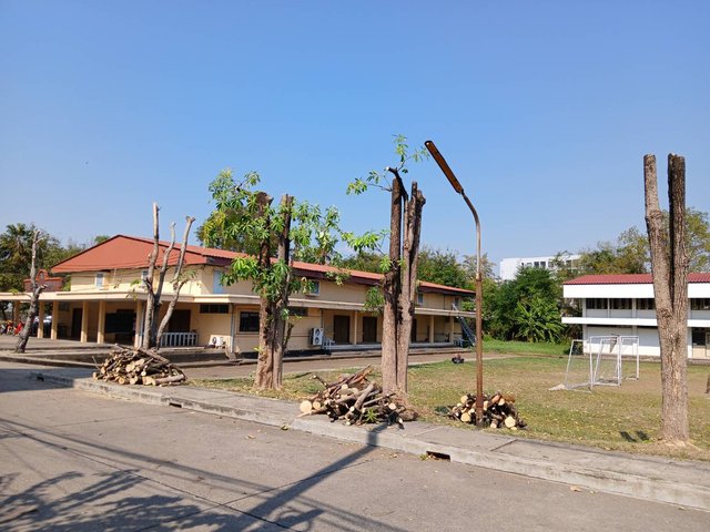 143936-0