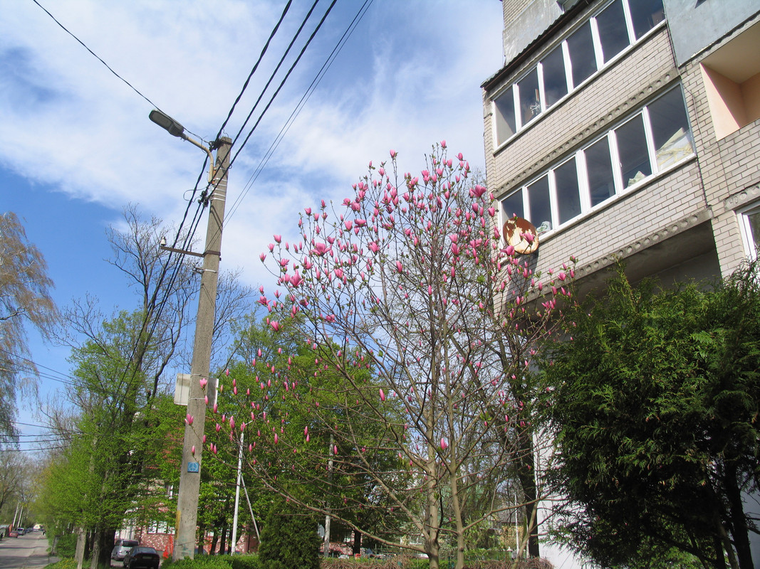 11 апреля 2024 021