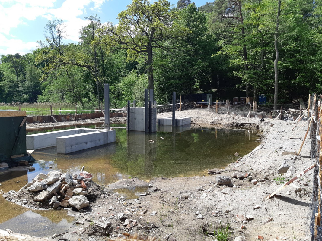 05.05 - 20210602_104447 (PiTT)