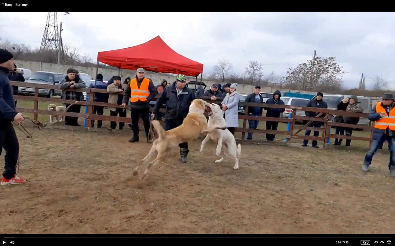 2019.12.29 Victoty 3Т Одесса БАЛУ х БЕЛ 4