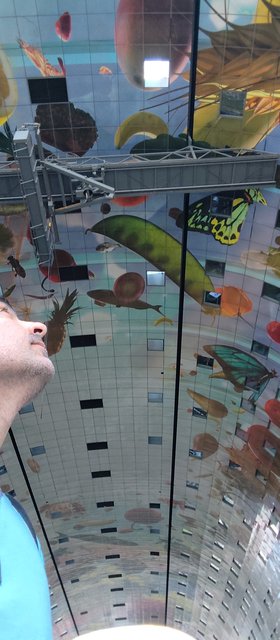 Escapada por Amsterdam - La Haya - Delft - Rotterdam - Leiden - Londres - Blogs de Europa - Museo Mauritshuis, decepcionante Depot Boijmans y callejeo por Delft y Leiden (96)
