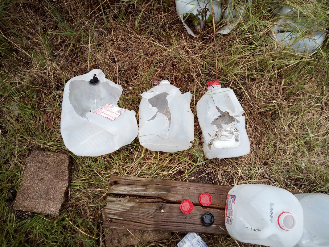 IMG_20250713_133905_343