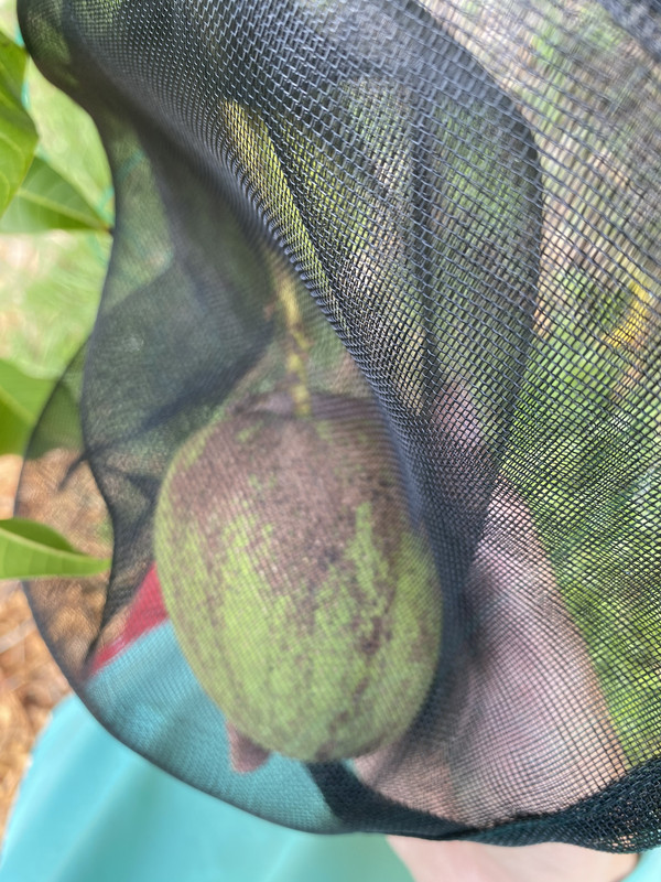 05B375C5-BB91-477C-8E50-C9EF99BF79FC