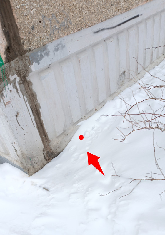 Screenshot 20260202 200735