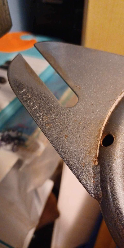 410646003_1044049580138312_5101242835528962179_n (1)