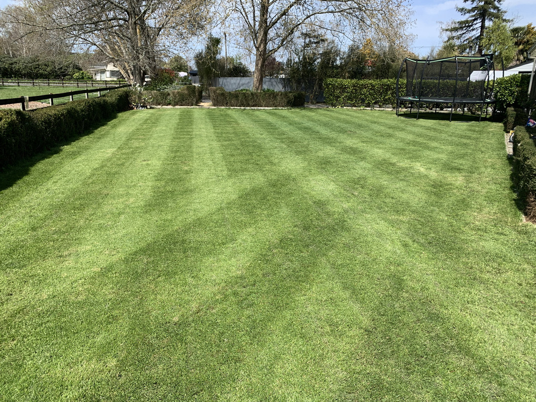 E4CAE337-929E-41CF-99E5-26EAE6894A29