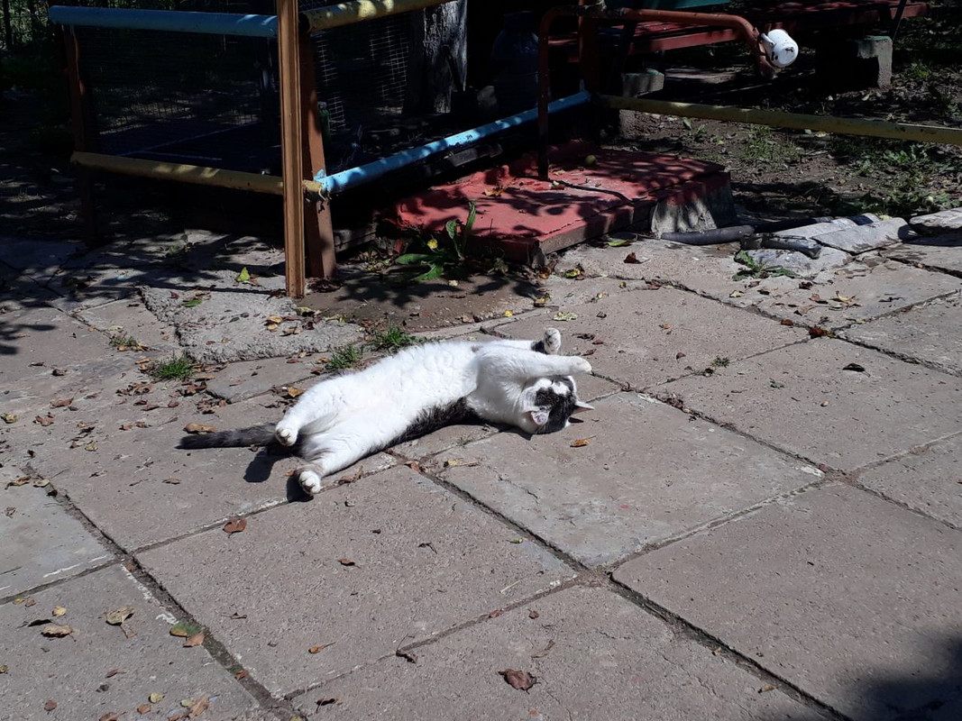 изображение_viber_2019-08-09_12-35-36