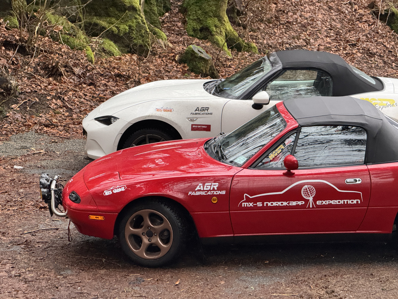 [Immagine: IMG-9809.jpg]