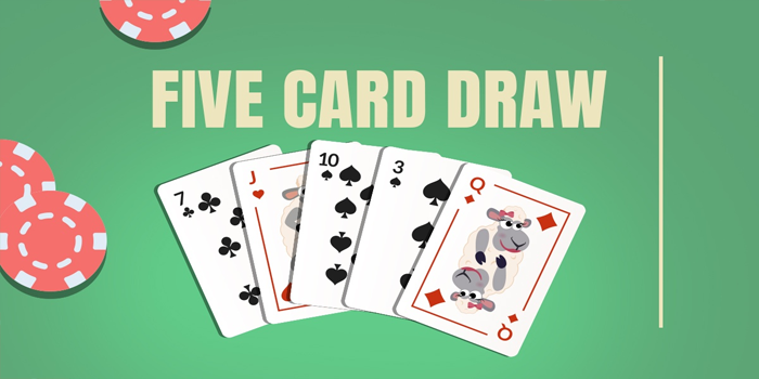 Panduan Lengkap Bermain Five Card Draw Untuk Pemula
