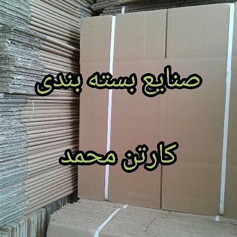 carton-mohammad (10)